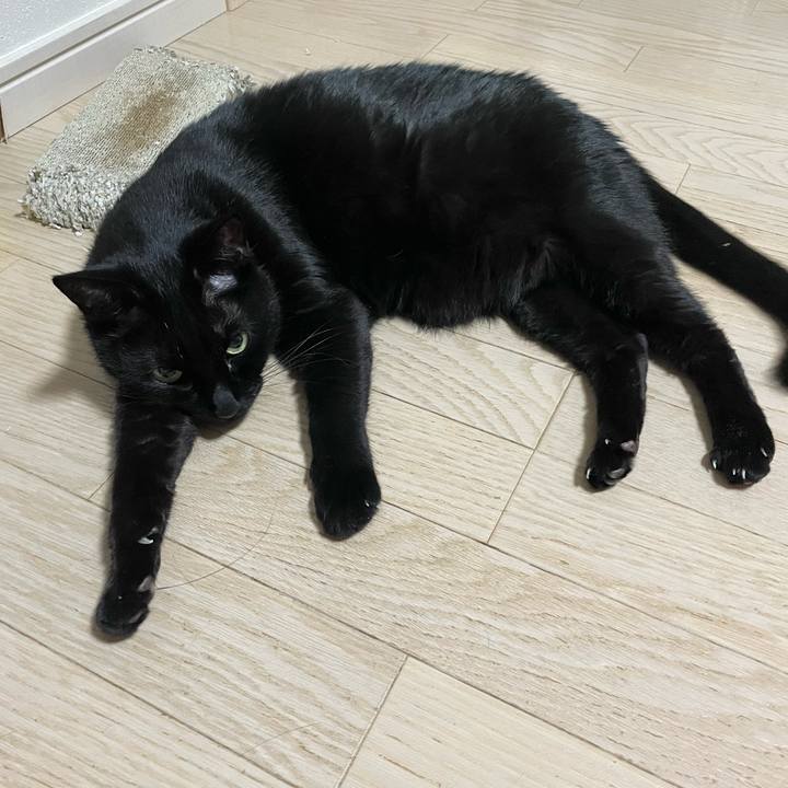 64a3ee5a 4757 4721 9436 55c34c344466 1767964755549