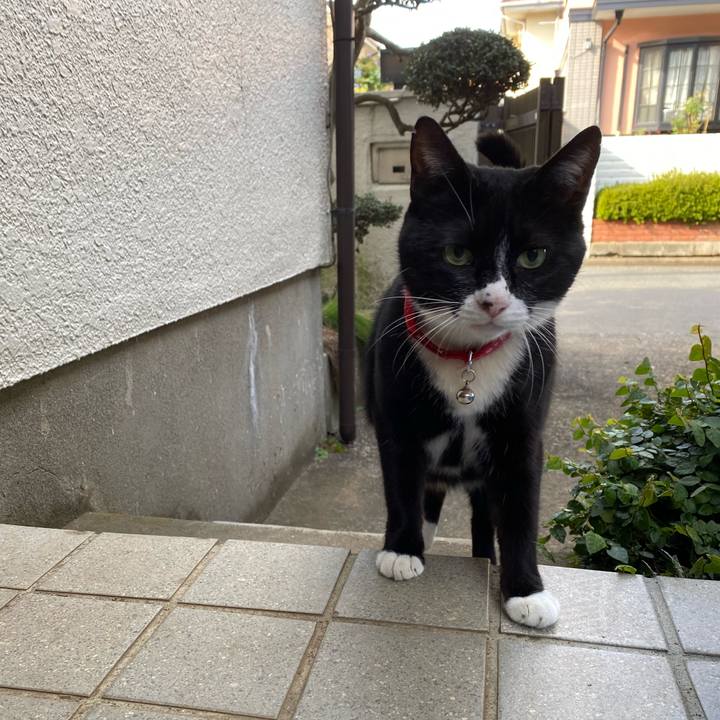 64a41058 a7de 4a5b 9033 c7b1f3b3c38f 1604319332727