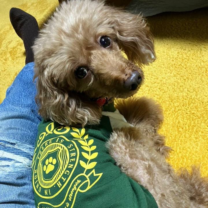 64a42aa8 b0b5 46d8 a686 79fe59ffecbc 1667697736644