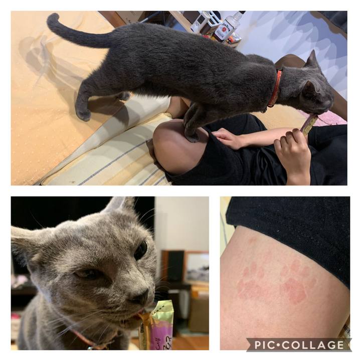 64a45bcd f5b2 4a2e ba41 c1f1853cea50 1599137551668