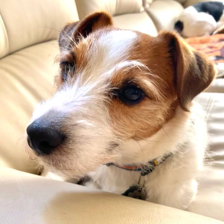 64a4695a b41c 46be bb5e 6e7f8cf25b54 1773483503790