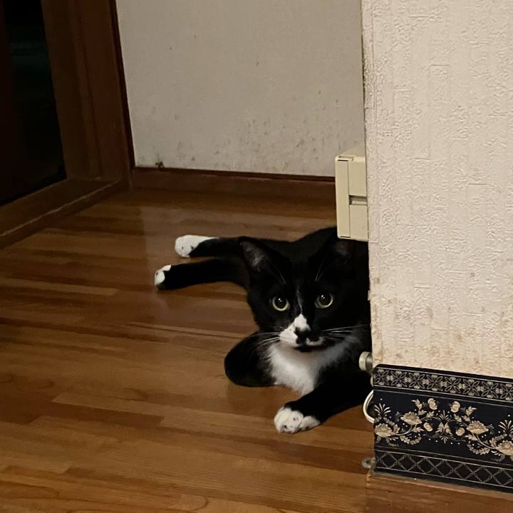 64a4af73 deff 4ff4 af43 a9e6ecf2936f 1693280032279