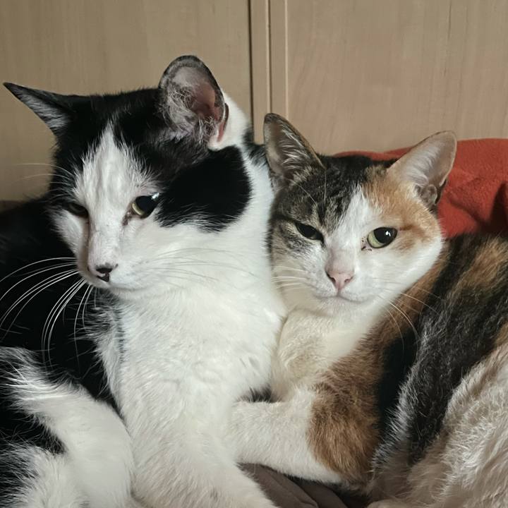 64a4cf25 cfdb 4c25 9e3c ee64ab8dd835 1644446321065