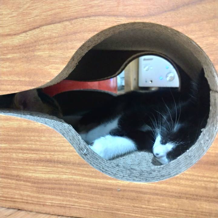 64a4d76b 0221 4860 8fac ea79d738a01a 1567469371436