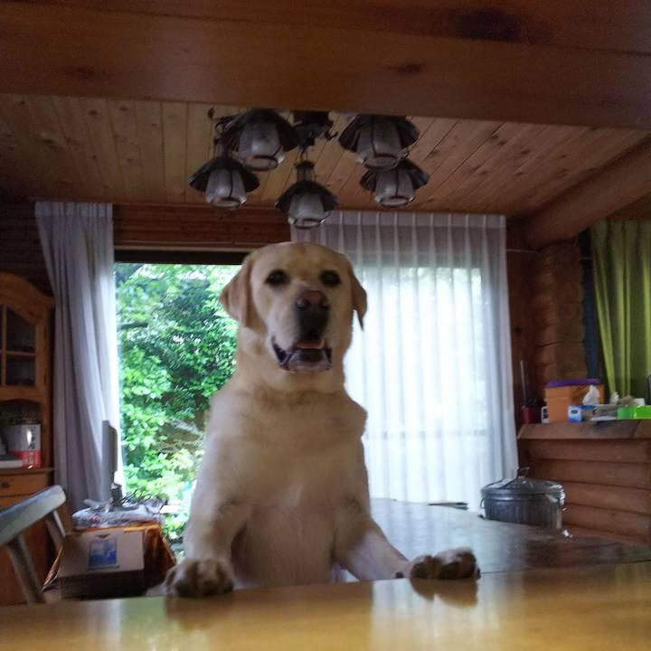 64a4fb1e e1df 4373 b562 e675a221942c 1529115916620