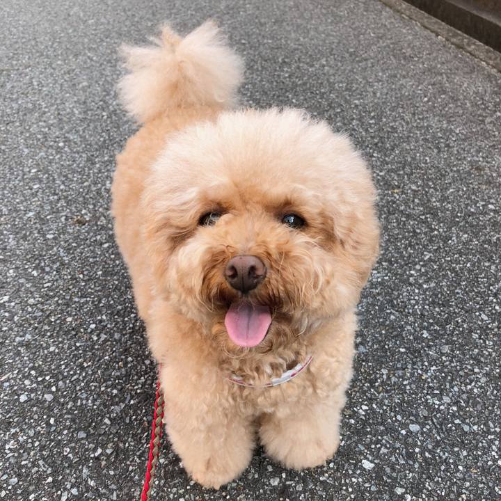 64a4fd8d 091c 4b5d acab 5862364d31b0 1507858957023