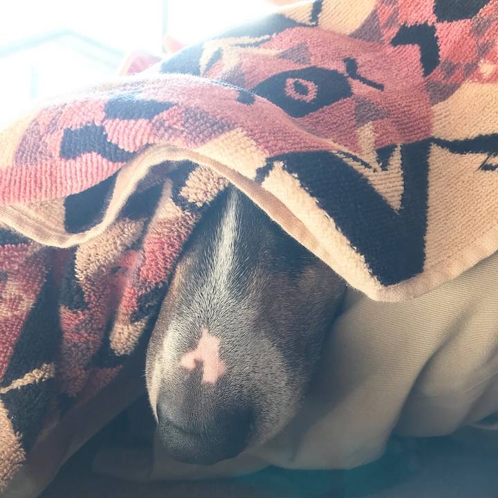 64a5044d 244f 4206 97d8 27b37e67f954 1517203801779