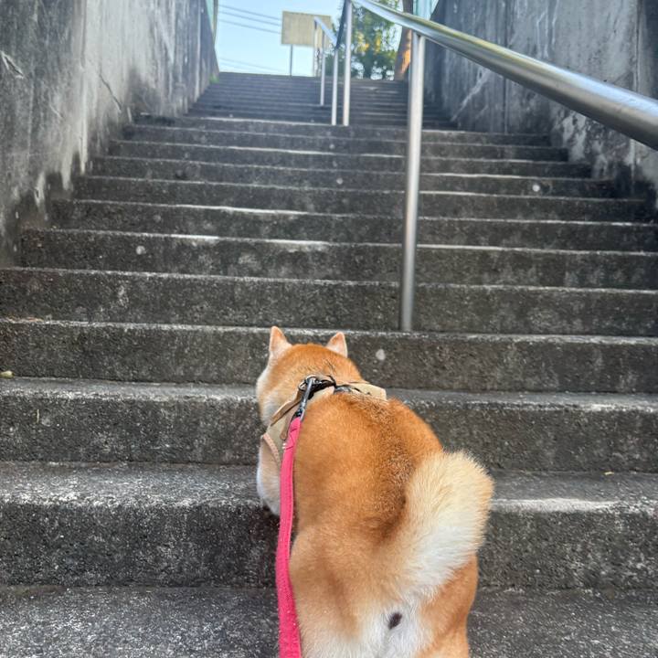 64a56f34 b8a7 44b4 9544 0aaca4e7cce4 1753310117470