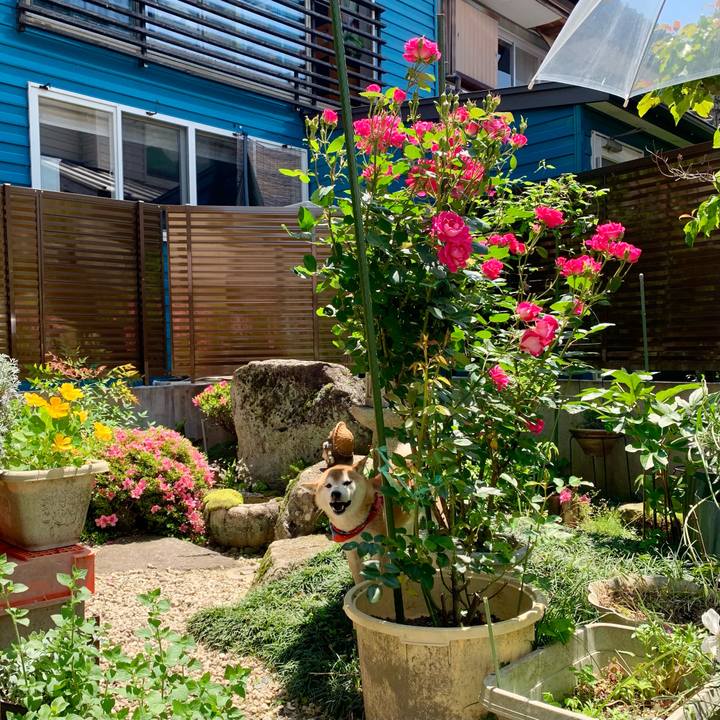 64a5736a 5122 4e17 99b0 3c57cfda01f7 1622534414180