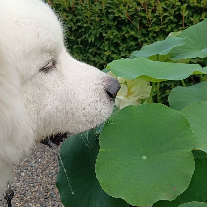 64a5a677 5617 4044 b793 6d0d168fed71 1719484937340