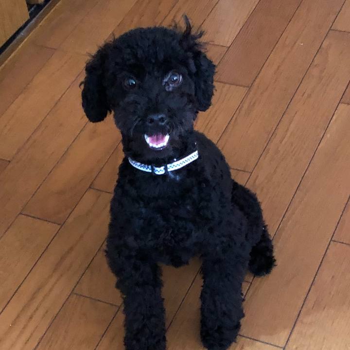 64a5b22d e68d 4d1d 91e3 6ad0bed9095a 1510094278056