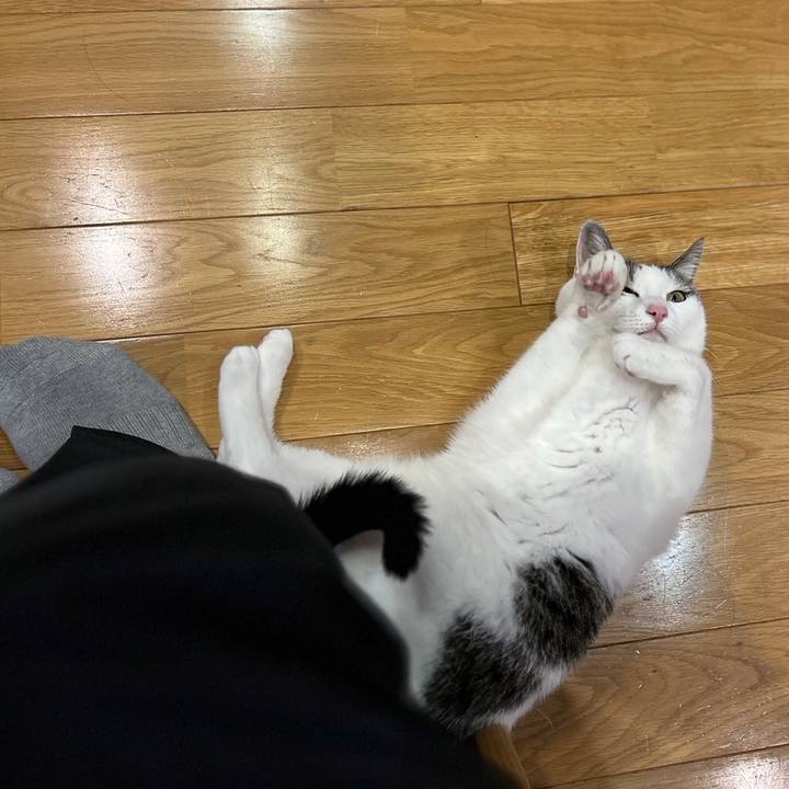 64a5dfd8 d609 4030 a761 b7d38c079970 1699433119368