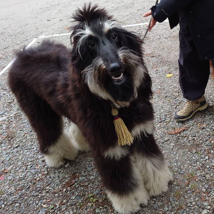 64a5ed7f fc61 4e27 aa89 fbef31a3302b 1696765017696