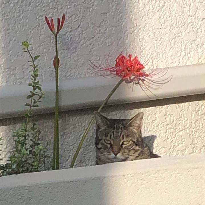 64a62281 b5f8 4835 9413 848156759b31 1569632678972