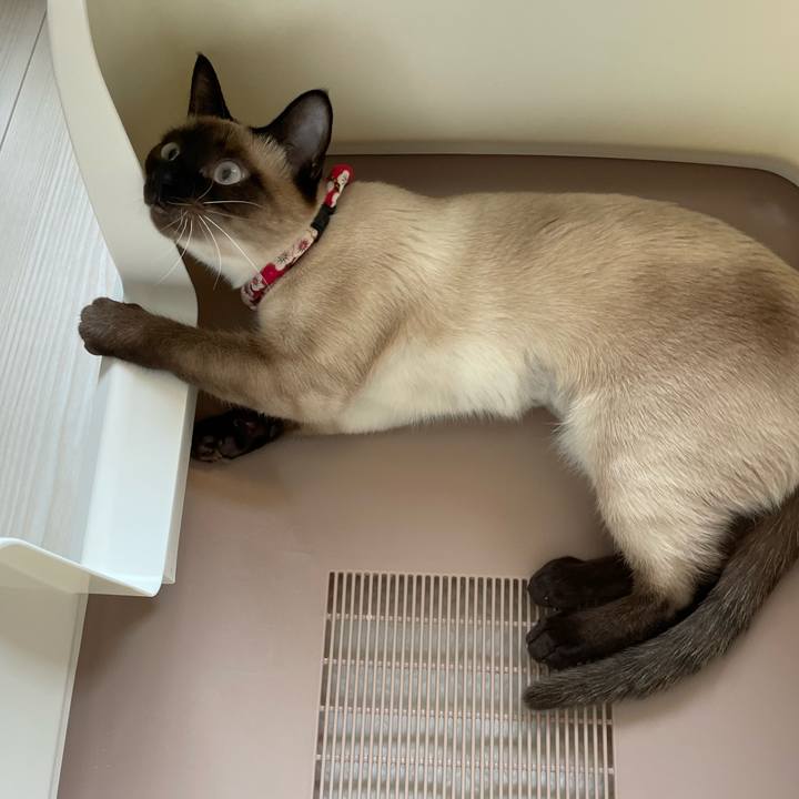 64a687c3 9c71 47c6 a83c 7174a4924e81 1710638703035