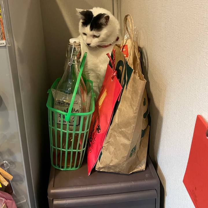 64a69f09 c647 4249 b9a9 197fd19cc034 1611491742376