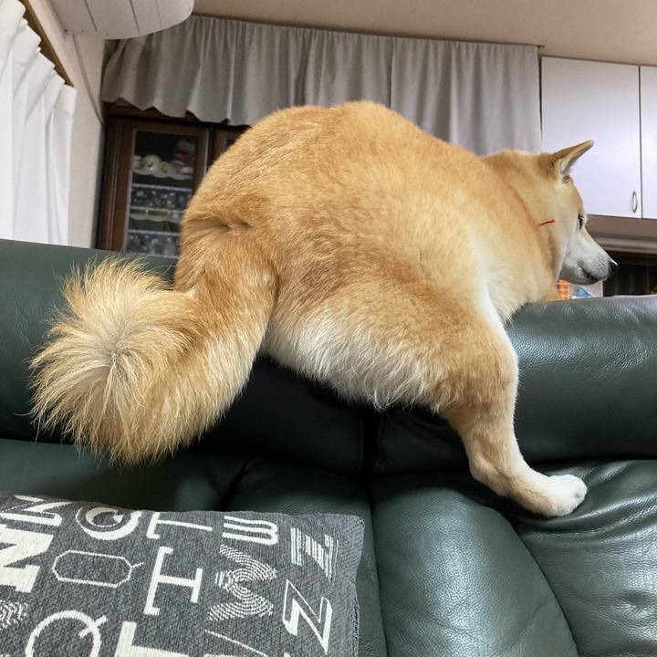 64a6cb48 12fb 4932 9f98 a2526ee69767 1616759384876