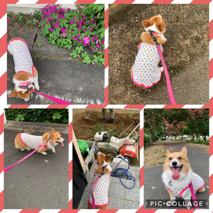 64a6cb5c d6a0 4ffd 813e 12ffcbfd5870 1567500026710