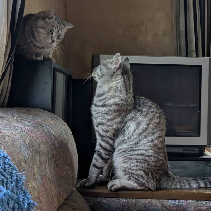 64a7048a 6485 4e21 b75d ecb7ddd9c5be 1722933325677