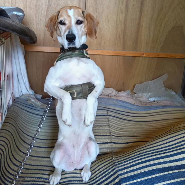 64a7208a ce46 4efe 983d 6bbc6c0f37ff 1716545581198