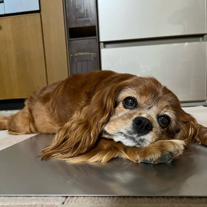 64a77de4 06cc 4ff9 879e 09911079e05b 1759884851120