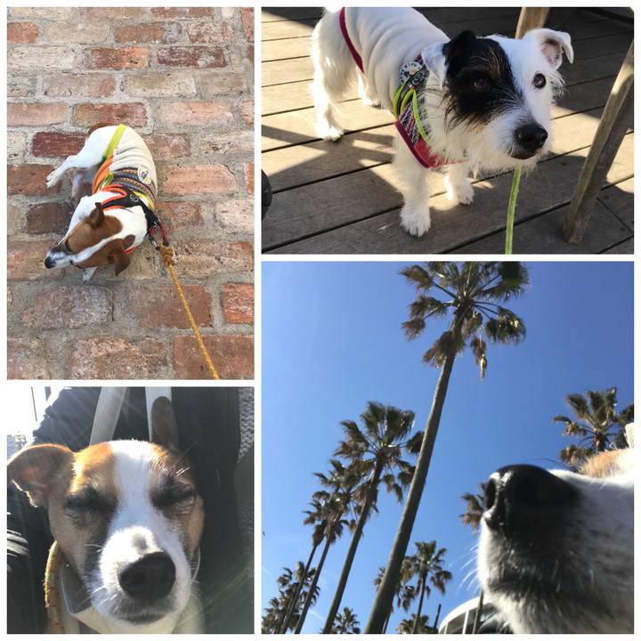 64a7b364 bd8f 49be bc08 d19667ea5f7d 1514000765188