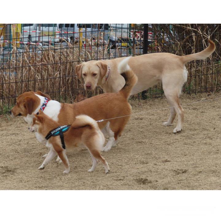 64a7c9e6 dcff 4923 a7cf b03fea2418fa 1643160366267