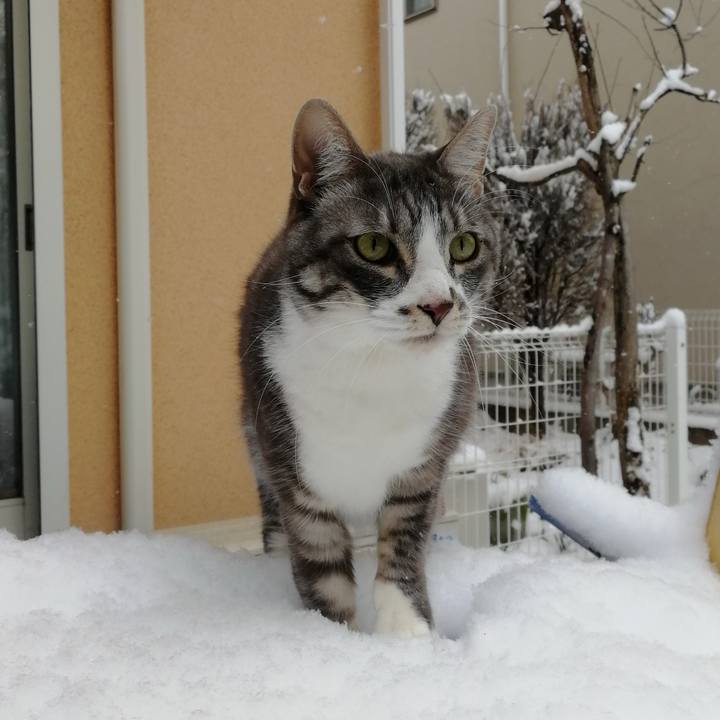 64a7ceb3 5c87 47bd a97e a850619a2b11 1770553914950