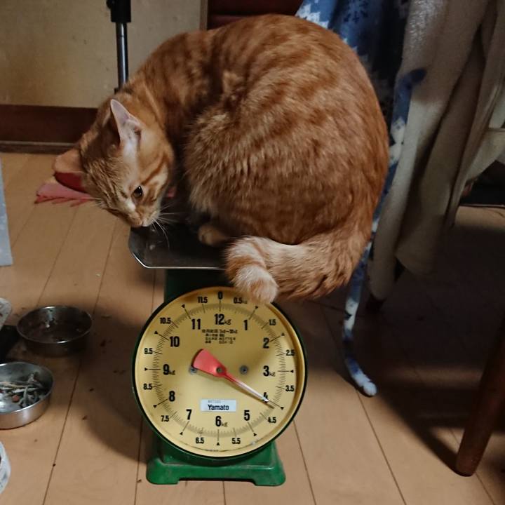 64a7f318 0437 4939 9575 5bd317003390 1642931952891