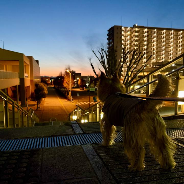 64a7ffe2 60af 4178 a21b 3754f6ca29e9 1769414959560