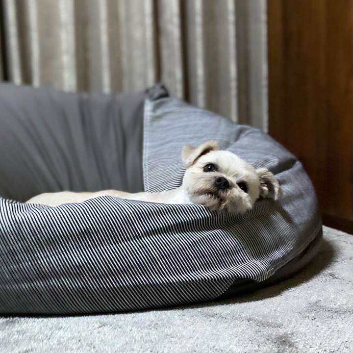 64a84712 fc9d 4947 a3ed 73d88a8241db 1602339273036