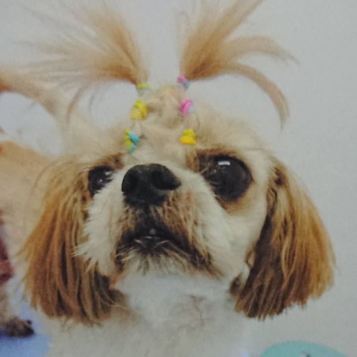 64a86078 f58e 42b2 be2a 2e871e83b660 1533030650525