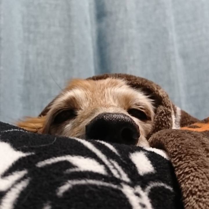 64a86606 de1d 4b77 9bb8 90209ece68f1 1583864678405