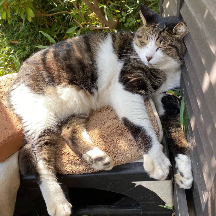 64a86de4 9052 45f8 bfbd b7008de03dfa 1572061037879