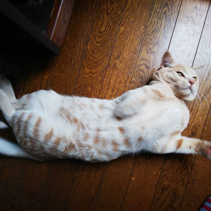 64a891f2 4945 4d2f 9aa8 8666f5fb9127 1550381442744