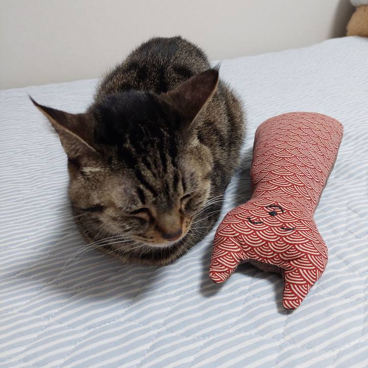 64a8c2a4 a8b8 4577 beb4 f2b3b0d24b02 1639611781654