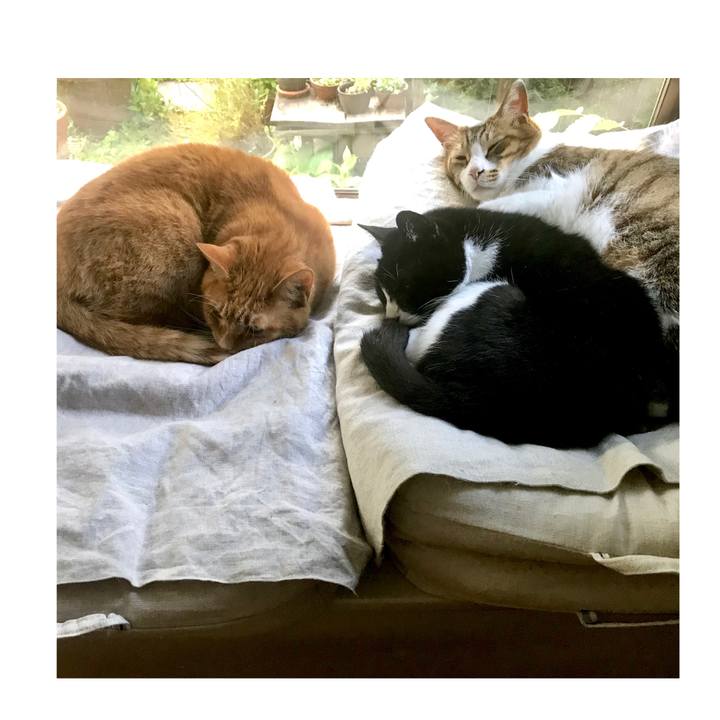 64a8ea26 7839 4596 9297 f41dd9d098c4 1558051800896