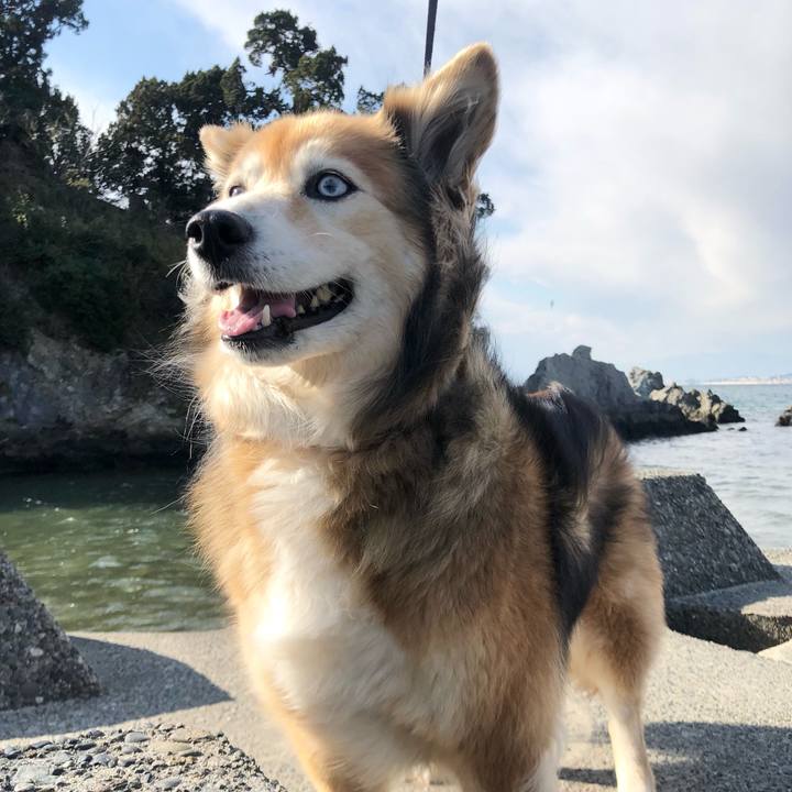 64a91e21 41f2 41fe 8d43 0df792a6b329 1642671880070