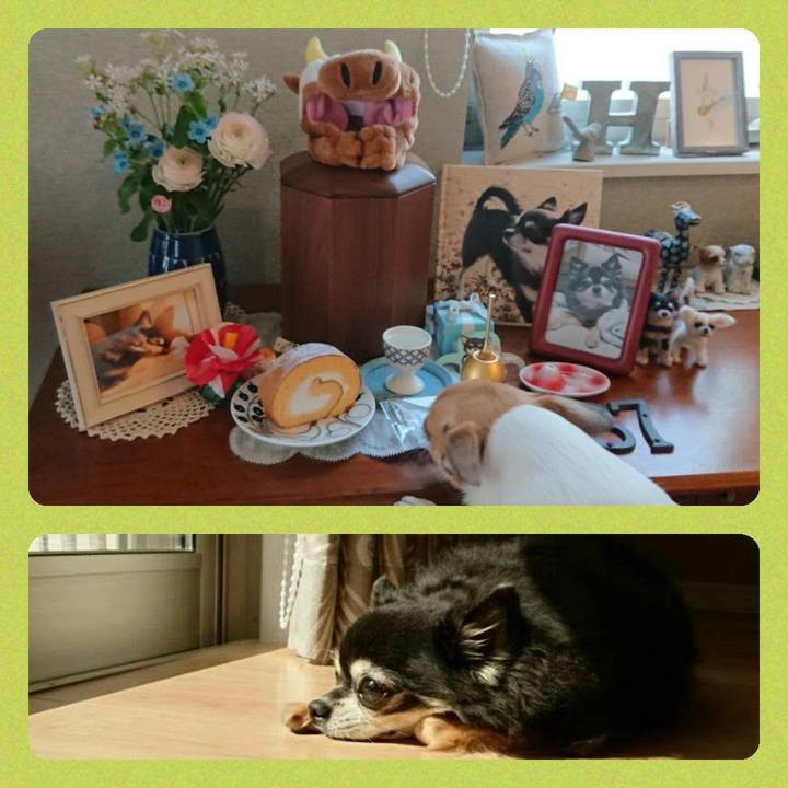 64a92015 2ee6 4a15 bf15 b254bd2683e5 1611304628680