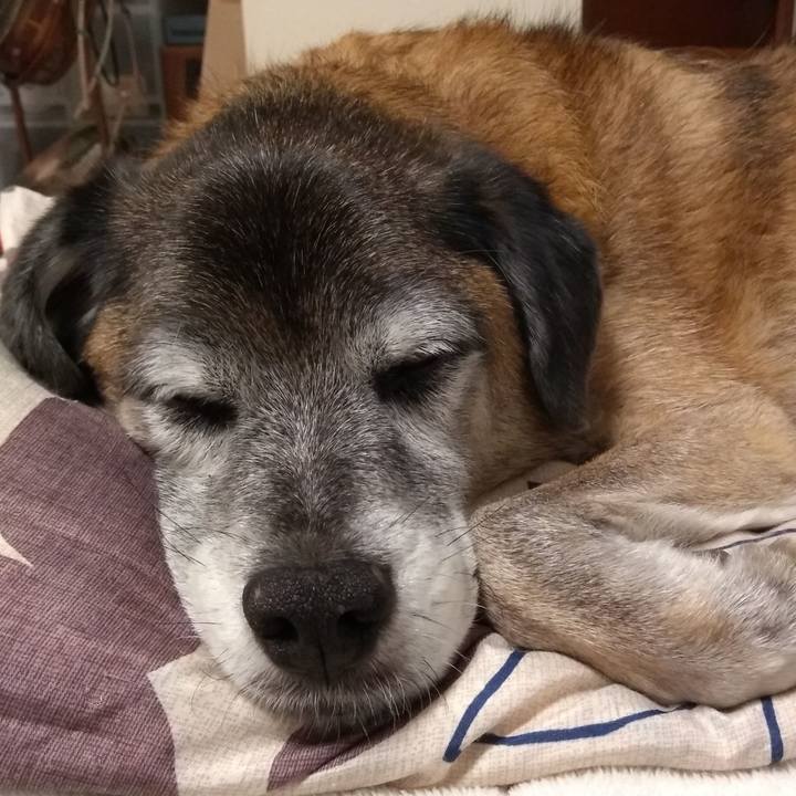 64a968e6 0bf4 4b33 af70 1c53eddfc340 1574325375254