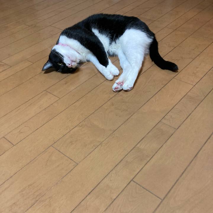 64a96e6a 7be8 4bab 9be1 81d6fa10f135 1647960455659