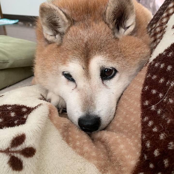 64aa8240 0d0d 423c bf08 cde0a5273b3c 1608674433945