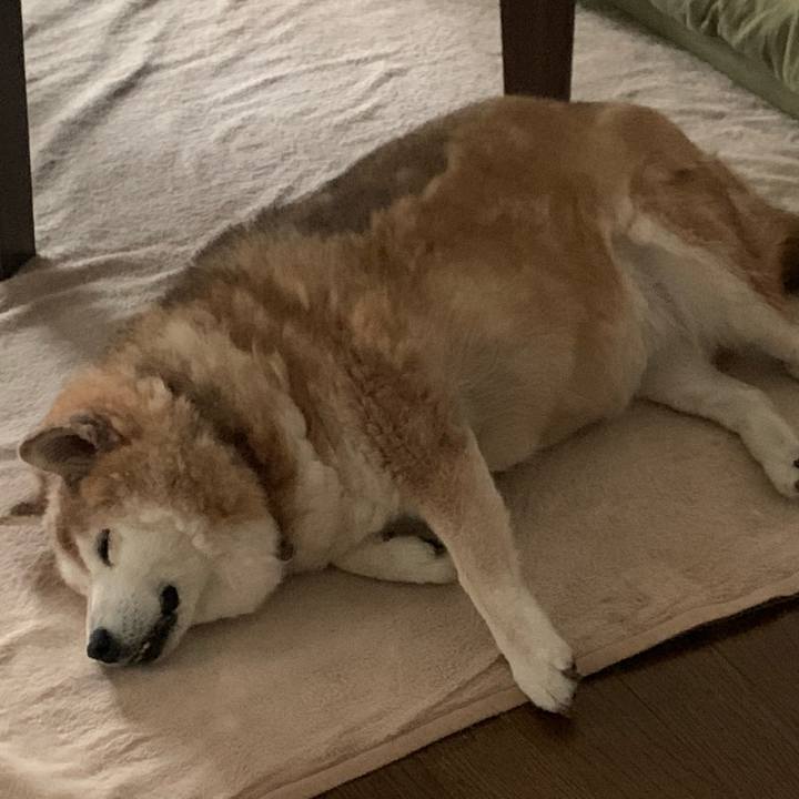 64aa83f4 ecbd 4263 8082 447e67228b74 1621897637727