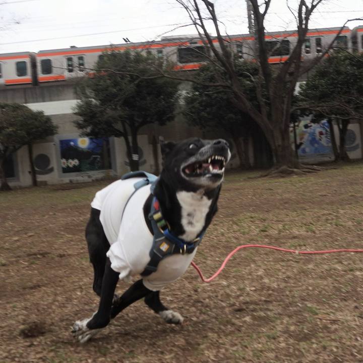 64aa9d53 7e94 414c 8366 862a66fdd60d 1708134109271