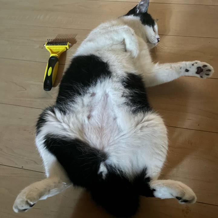 64aab051 fd3c 4961 8063 b0f58d779ab2 1691009626792