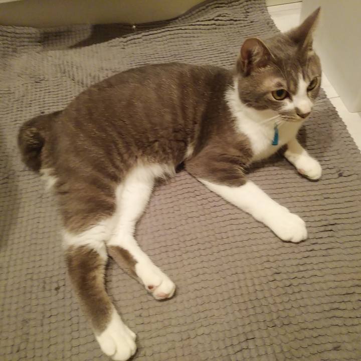 64aac17b 8118 49ea b6f0 ab4671af4dce 1591356650866