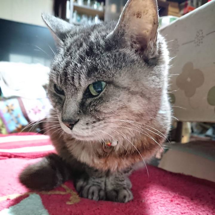 64ab07a9 1090 4342 acf8 0b55d6bc6aa2 1600550843911