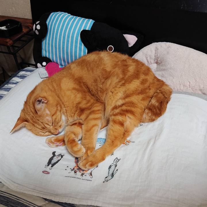 64ab54d9 b9a3 4d80 8275 6e16dfcdb557 1599796112586