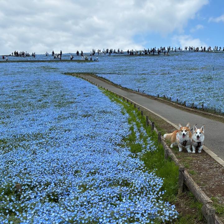 64ab8f4f 6d5e 4767 b566 a5e74b9005fb 1776345897132