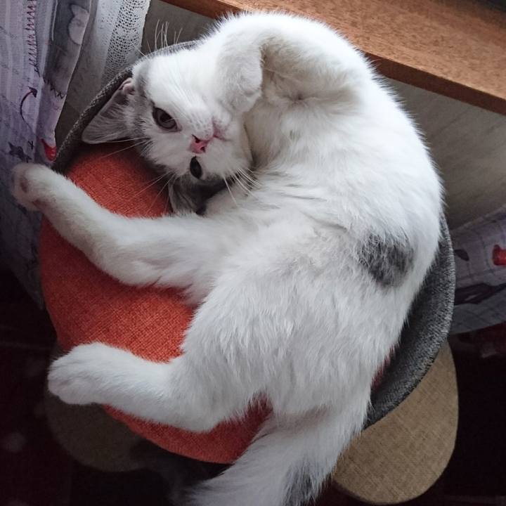 64ab94bf 4f50 4036 a605 e4ccc6feee97 1531700747423